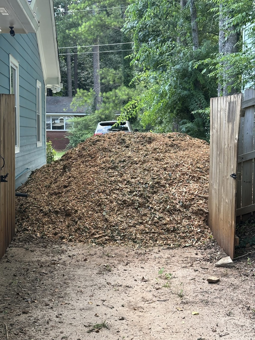 ES Tree Service — On Site