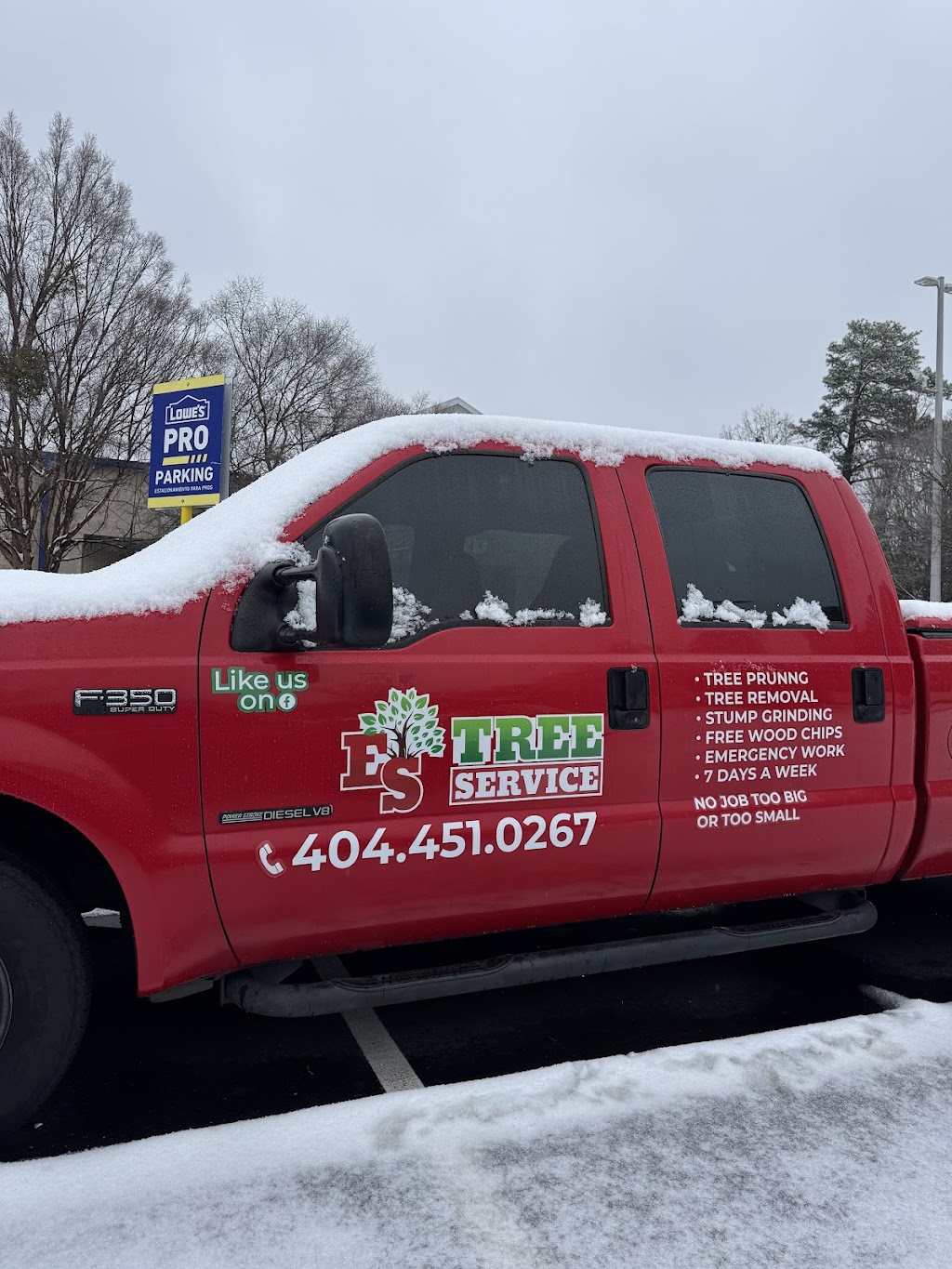 ES Tree Service — Safe Removal