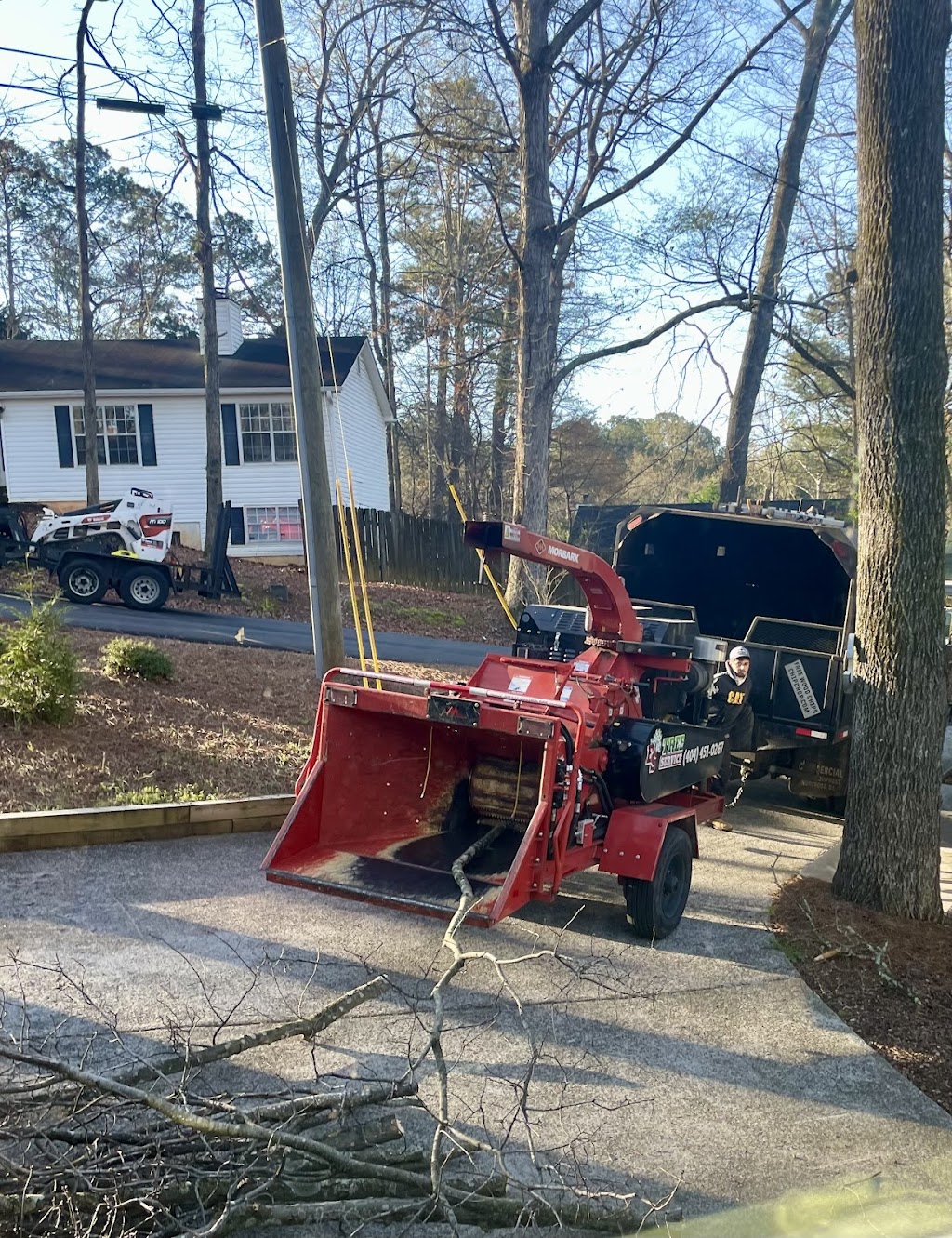 ES Tree Service — Cleanup